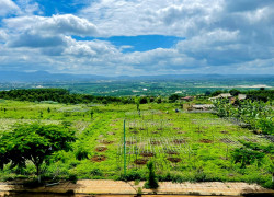 Đất đầu tư nghỉ dưỡng | View đẹp |Tân Hà | Lâm Hà | Ven thành phố Đà Lạt