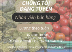 Cửa hàng rau sạch Khang Thịnh cần tuyển nhân viên bán hàng