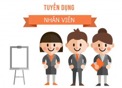 Tuyển nhân viên tư vấn mảng công nghệ làm tại Q12 đi làm ngay