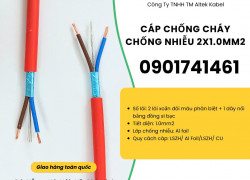 Dây cáp tín hiệu chống cháy, chống nhiễu 2 lõi Altek Kabel Đà Nẵng