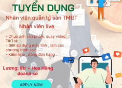 TẤT VỚ SA SA CẦN TUYỂN 1 QUẢN LÝ SÀN TMĐT VÀ NHÂN VIÊN LIVESTREAM