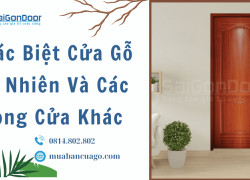 Khác Biệt Cửa Gỗ Tự Nhiên Và Các Dòng Cửa Khác