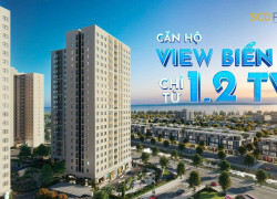 Seaview Tower - Không Gian Sống Sang Trọng Bên Bờ Biển Đà Nẵng