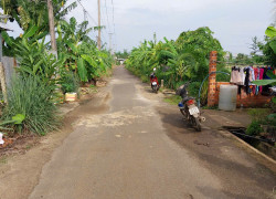 Cần bán 800m, Mặt Tiền đường nhựa, xã Sông Thao, huyện Trảng Bom