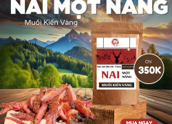 THỊT NAI, BÒ MỘT NẮNG MUỐI KIẾN VÀNG ĐẶC SẢN ĐẮK LẮK