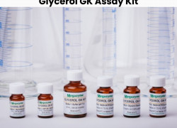 Glycerol GK Assay Kit của Megazyme