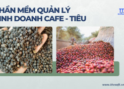 Phần mềm quản lý mua bán, tính lượng quy chuẩn cho Cafe - Tiêu TTV