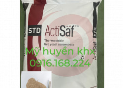 ACTISAF – Men vi sinh đường ruột Saccharomyces đậm đặc