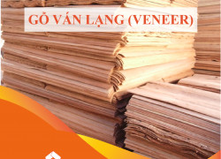 Thủ tục xuất khẩu gỗ ván lạng (Veneer)