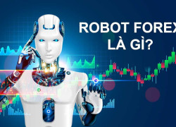 ROBOT GIAO DỊCH TRONG FOREX LÀ GÌ ?