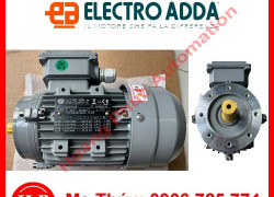 Động cơ điện không đồng bộ ba pha Electro Adda phân phối tại việt nam