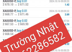 COPYTRADE - HỆ THỐNG TẠO RA THU NHẬP SIÊU HIỆU QUẢ