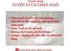 TUYỂN 03 CN CHĂN NUÔI BAO ĂN Ở TÁNH LINH BÌNH THUẬN