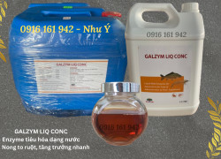 GALZYM LIQ CONC - Enzyme hỗn hợp dạng lỏng, enzyme tăng trọng hỗ trợ tiêu hóa