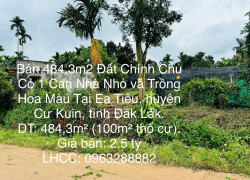 Bán 484,3m2 Đất Chính Chủ Có 1 Căn Nhà Nhỏ và Trồng Hoa Màu Tại Ea Tiêu, huyện Cư Kuin, Đăk Lăk.