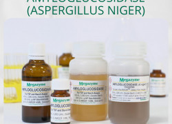 Amyloglucosidase (Aspergillus niger)