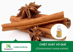 Chiết xuất vỏ quế Biogreen