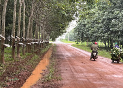 Bán thu hồi vốn miếng đất chính chủ tại huyện Bắc Tân Uyên, Bình Dương