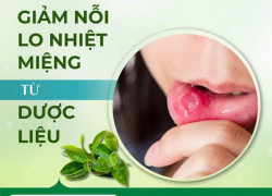 Giảm nỗi lo nhiệt miệng mùa hanh khô từ các vị dược liệu