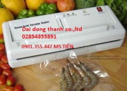 Máy đóng gói hút chân không gia đình: Model DZ-280