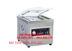 Máy hút chân không một buồng hút : Model DZ – 300