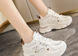 Giày Sneaker Nữ Giá Rẻ SKNU05