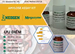 Amylose Assay Kit