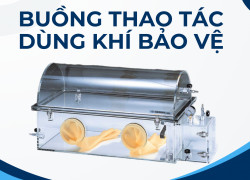 Buồng thao tác dùng khí bảo vệ - Glove Box