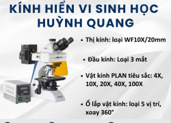 Kính hiển vi huỳnh quang