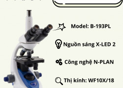 Kính hiển vi sinh học 3 mắt