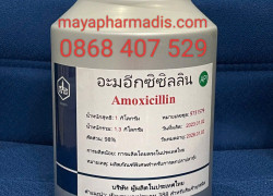 Amoxycillin