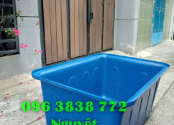 Thùng chữ nhật 2000 lít nuôi cá Koi