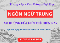 Tuyển Sinh Tiếng Trung Online: Trung Cấp, Cao Đẳng, Đại Học – Mở Cửa Cơ Hội Nghề Nghiệp Quốc Tế