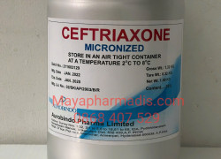 Ceftriaxone 98% – Giải pháp cho tình trạng lờn Cefo liều cao