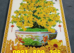 Gạch tranh trang trí hoa mai HN848