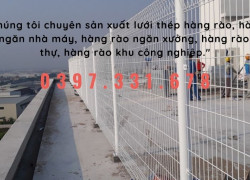 Hàng rào mạ kẽm 4ly A50x200; Hàng rào lưới thép hàn