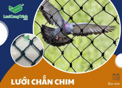 Lưới chắn chim – giải pháp bảo vệ mùa màng hiệu quả