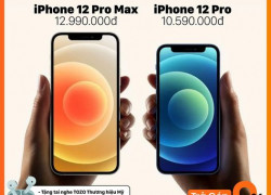 Săn sale Black Friday iPhone 12 Pro/12 Pro Max