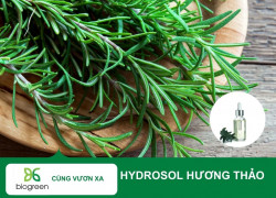 Hydrosol hương thảo Biogreen nguyên liệu mỹ phẩm cho làn da tươi trẻ