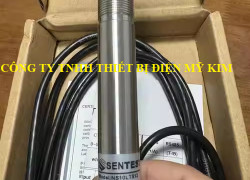 Cảm biến hồng ngoại Sentest NS50PH3CF2