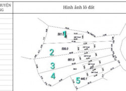 MỞ BÁN GẤP 5 LÔ F0 TẠI THÔN MỊN TO_XÃ TRÙ HỰU_LỤC NGẠN_BẮC GIANG