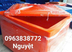 Thùng Lạnh 800L Việt Nam