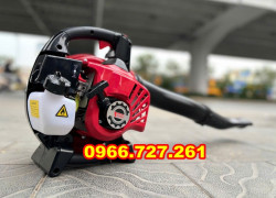 Máy hút, thổi và băm nhỏ lá cây Turbo THL926