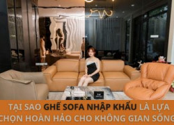 Ghế sofa nhập khẩu – Bí mật tạo nên không gian sống đẳng cấp