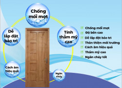 CỬA GỖ TỰ NHIÊN