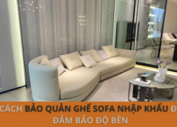 Cách Bảo Quản Ghế Sofa Nhập Khẩu Để Đảm Bảo Độ Bền