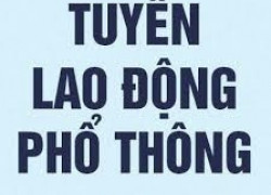 TUYỂN GẤP 3 NHÂN VIÊN LAO ĐỘNG PHỔ THÔNG LÀM VIỆC TẠI TP HCM