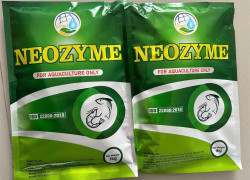 Enzyme tẩy nhớt bạt, giảm tảo, xử lý nước ao nuôi - NEOZYME