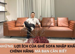 Những Lợi Ích Của Ghế Sofa Nhập Khẩu Chính Hãng Mà Bạn Cần Biết