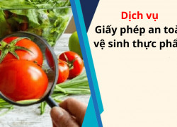 Làm giấy phép vệ sinh an toàn thực phẩm tốn bao nhiêu?